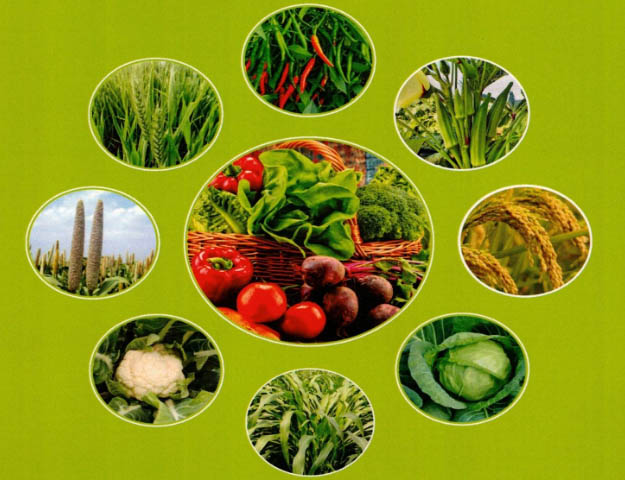 Our Mission Vardhnam Agro Solutions
