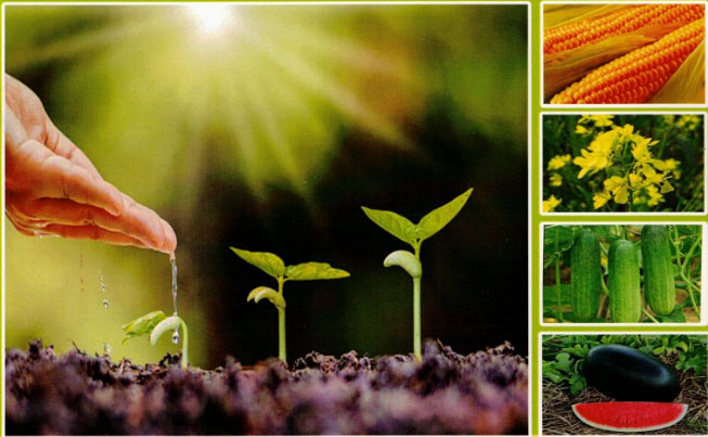 Our Vision Vardhnam Agro Solutions