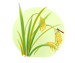 Extensive Crop Portfolio